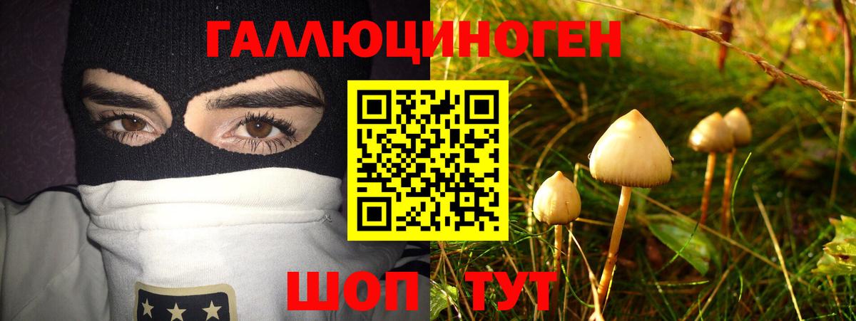Галлюциногенные грибы GOLDEN TEACHER  купить наркоту  Борзя  Вход с VPN 